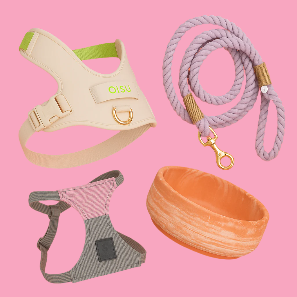 Collection image containing different dog products