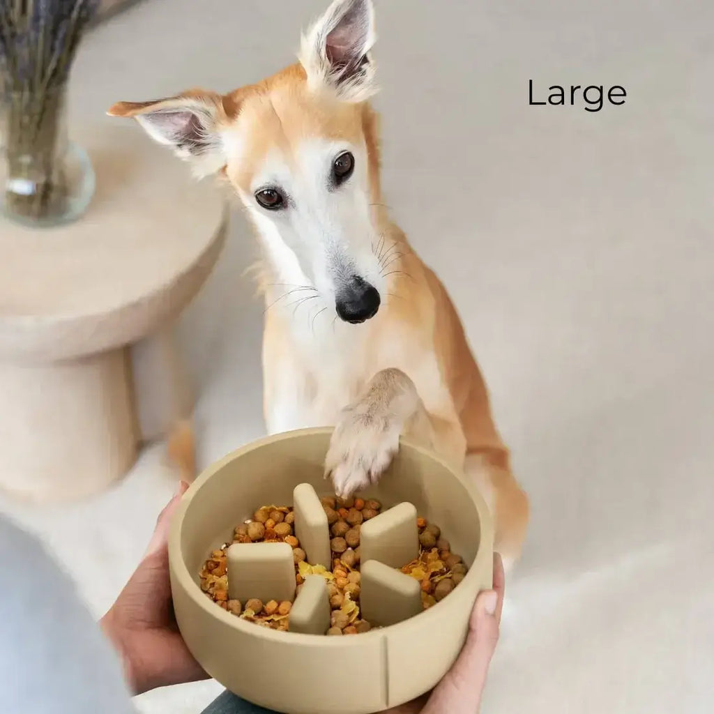 Slow Feeder Bowl Camel Brown