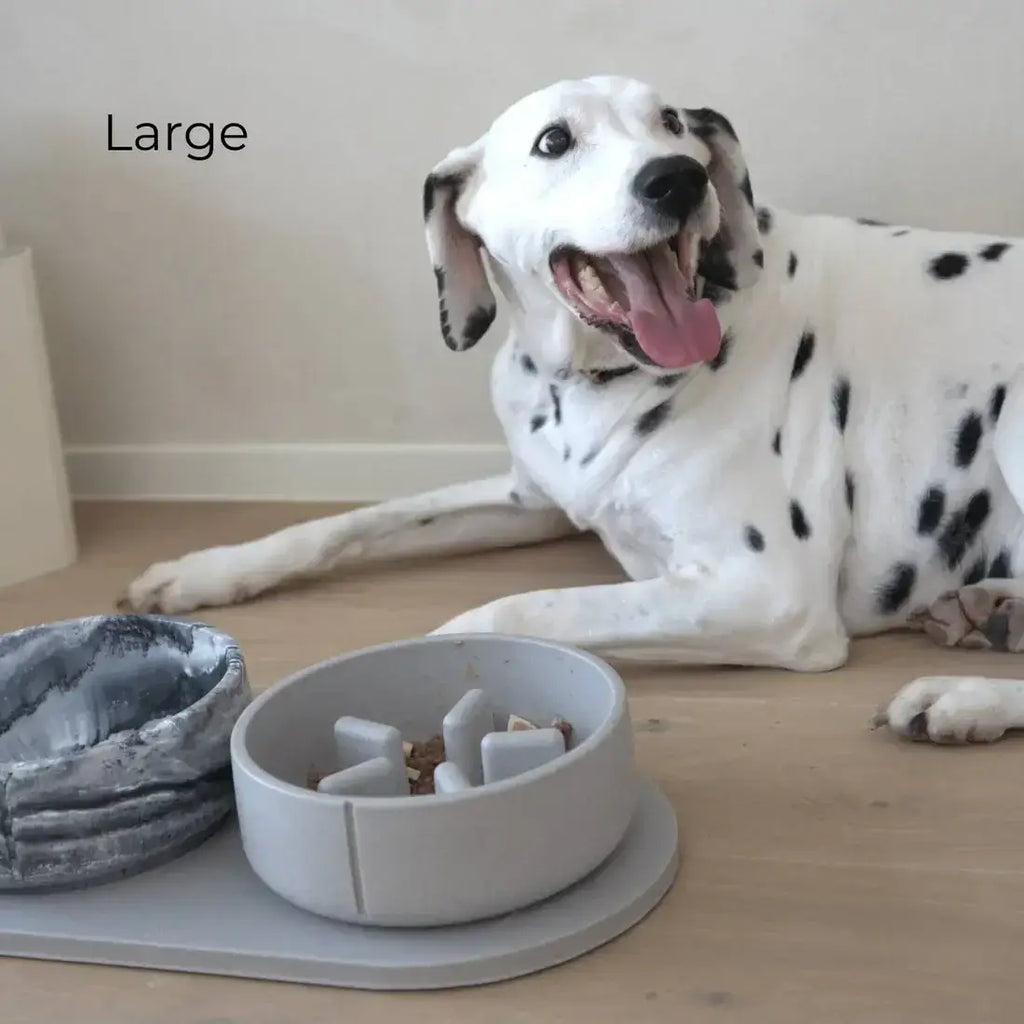 Slow Feeder Bowl Dolphin Grey