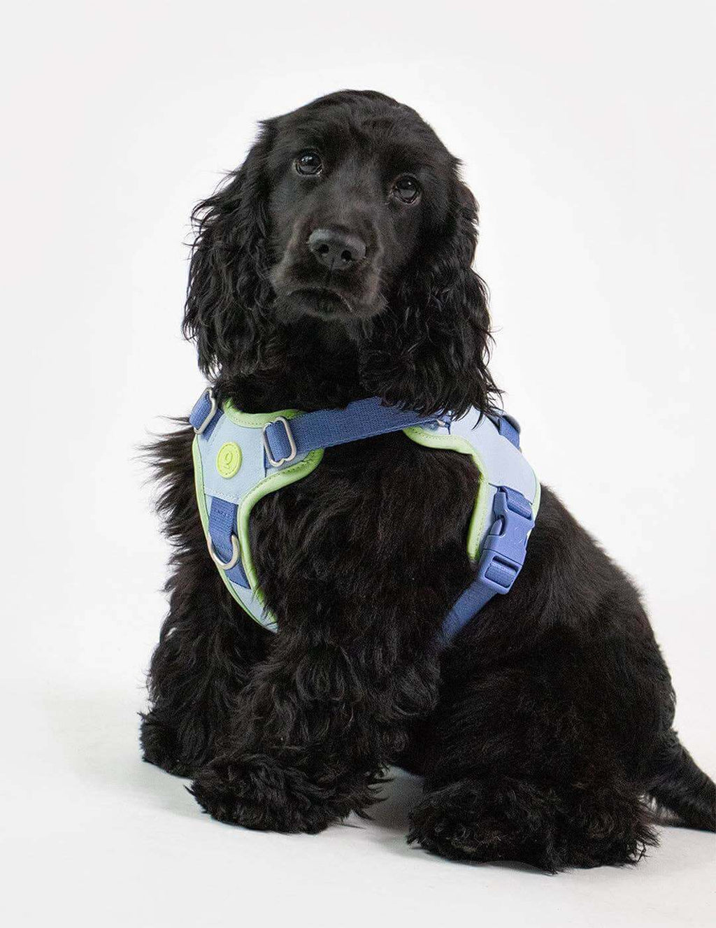Premium Cuddly Harness