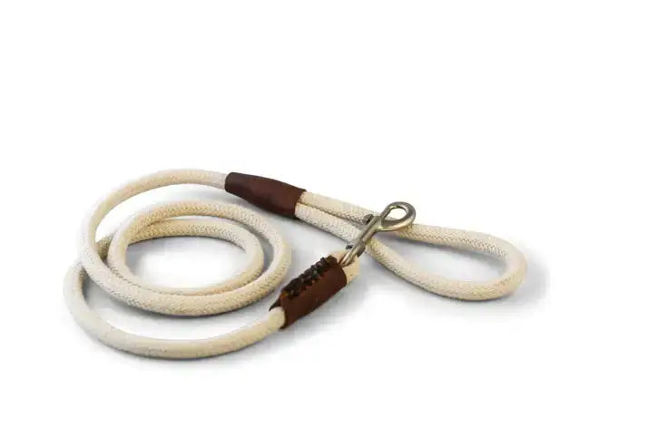 Hondenriem van 100% katoen met mat zilveren musketonhaak, handgemaakt met biologisch gelooid leer. Just Cotton Hondenriem.