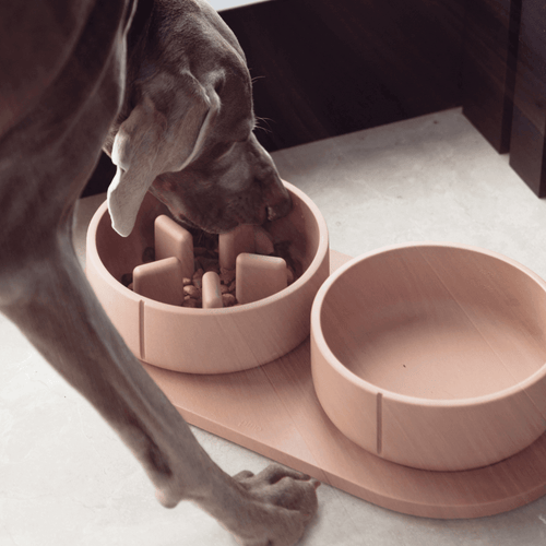 Pino Classic Feeder Foxy Terra