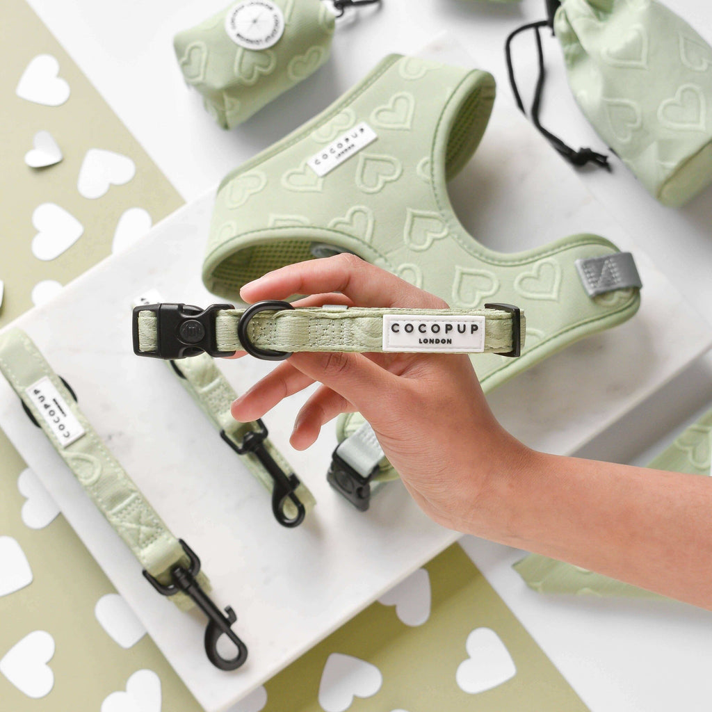 Een hand houdt een groen harnas vast met D-ringbevestiging voor kabels. Luxe halsband - Sage Heart: XS (puppy).