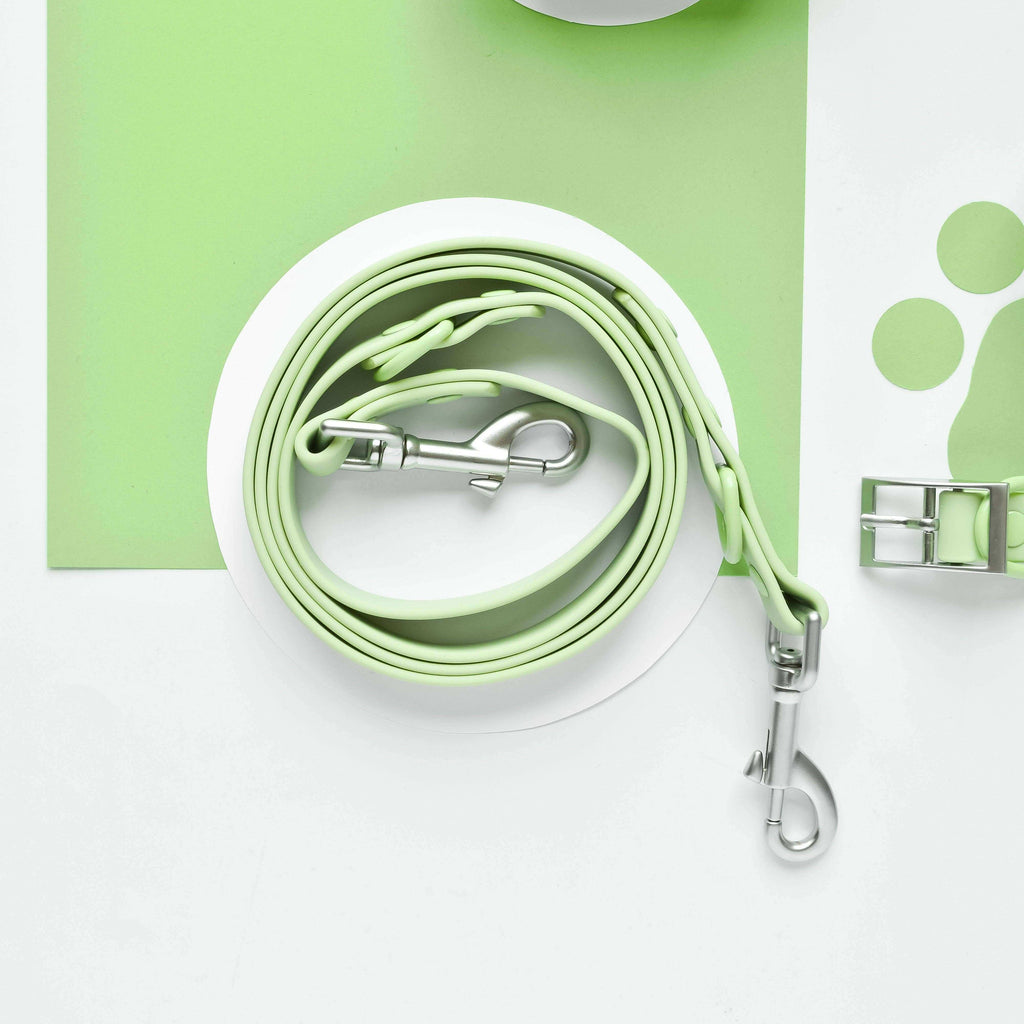 Een hondenriem met draaibare clip en extra D-ring voor poepzakjes van NAKD-lead - Matcha.
